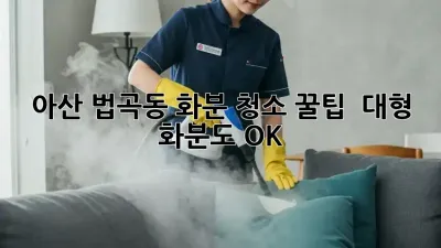 아산 법곡동 화분 청소 꿀팁 🍀 대형 화분도 OK!