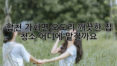 합천 가회면 오도리 깨끗한 집 청소, 어디에 맡길까요?